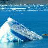 cg_kayaking_around_icebergs_pangaea_adventures